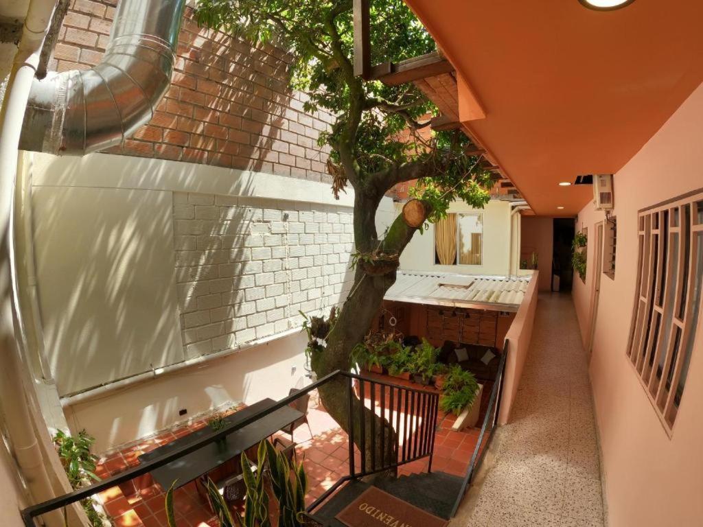 Hostal Casa Primavera Medellín Kültér fotó